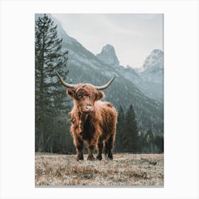 Colorado Forest Cow Canvas Print