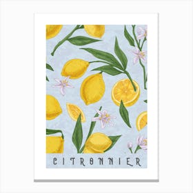 Lemons kitchen print Canvas Print