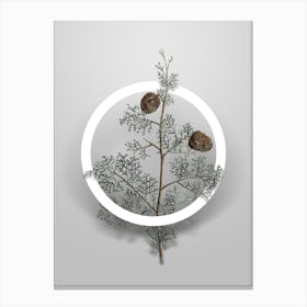 Vintage Mediterranean Cypress Minimalist Flower Geometric Circle on Soft Gray n.0512 Canvas Print