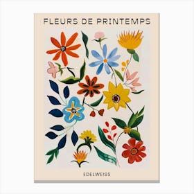 Spring Floral French Poster  Edelweiss 2 Canvas Print
