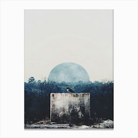 Bird On A Rock Canvas Print