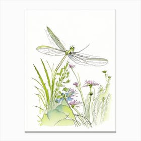Dragonfly In Garden Pencil Illustration 1 Canvas Print