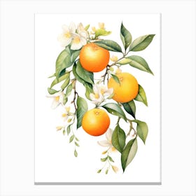 Oranges And Flowers 7 Canvas Print