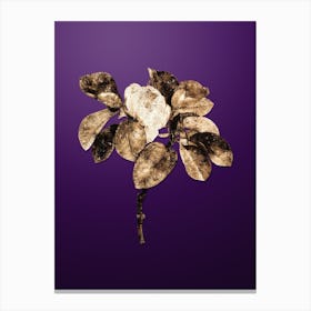 Gold Botanical Magnolia Elegans on Royal Purple Canvas Print