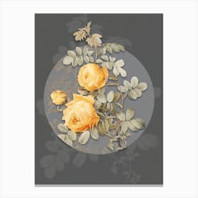 Vintage Botanical Vintage Sulphur Rose on Circle Gray on Gray n.0114 Canvas Print