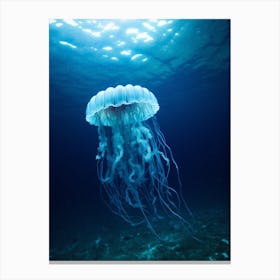Irukandji Jellyfish Ocean Realistic 1 Canvas Print