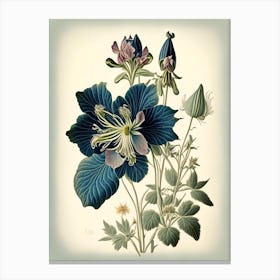 Columbine 1 Floral Botanical Vintage Poster Flower Canvas Print