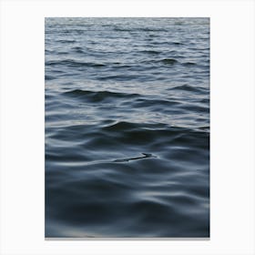 Feet In The Water Canvas Print