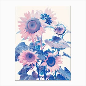 Pink Sunflowers Canvas Print