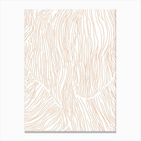Abstract Lines In Beige Canvas Print