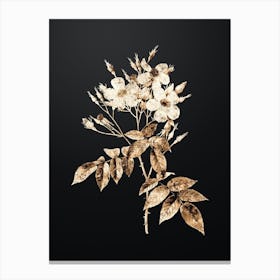 Gold Botanical Musk Rose on Wrought Iron Black n.0440 Canvas Print