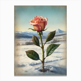 Rose In The Snow 1 Canvas Print