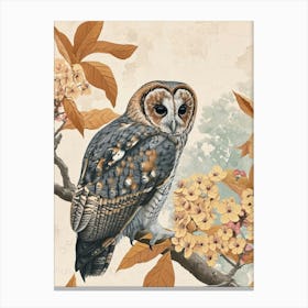 Australian Masked Owl Painting 5 Canvas Print