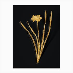 Vintage Primrose Peerless Botanical in Gold on Black Canvas Print