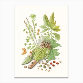 Hops Spices And Herbs Pencil Illustration 1 Canvas Print
