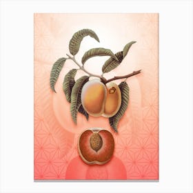 Carrot Peach Vintage Botanical in Peach Fuzz Asanoha Star Pattern n.0045 Canvas Print