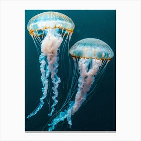 Jellyfishes 3 Canvas Print