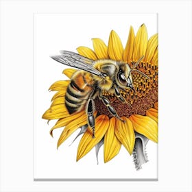 Colletidae Bee Storybook Illustration 9 Canvas Print