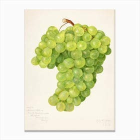 Grapes Canvas Print