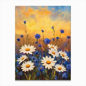 Daisies At Sunset Canvas Print