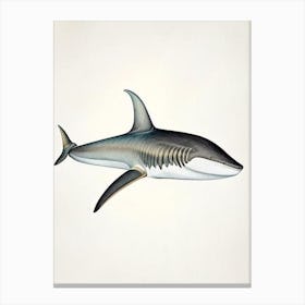 Blacktip Shark Vintage Canvas Print
