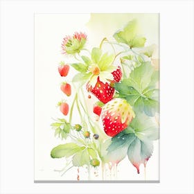 Alpine Strawberries, Plant, Storybook Watercolours 1 Canvas Print