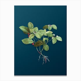 Vintage American Wintergreen Plant Botanical Art on Teal Blue n.0093 Canvas Print