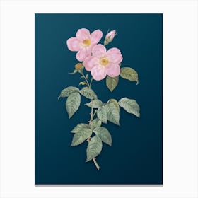 Vintage Tea Scented Roses Bloom Botanical Art on Teal Blue n.0857 Canvas Print