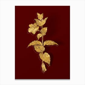 Vintage Greater Periwinkle Flower Botanical in Gold on Red n.0471 Canvas Print