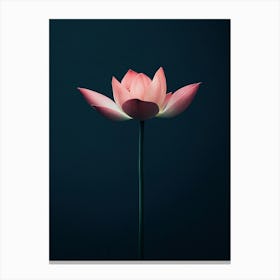 Lotus Flower 12 Canvas Print