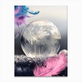 Crystal Ball With Feathers 2 Canvas Print