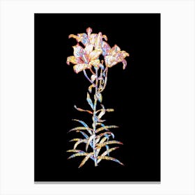 Stained Glass Fire Lily Mosaic Botanical Illustration on Black n.0215 Canvas Print