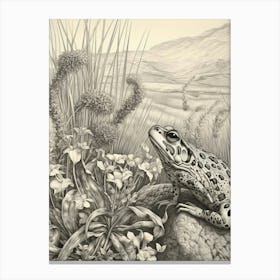 Desert Wave Frog Drawing 6 Canvas Print