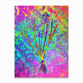 Spring Squill Botanical in Acid Neon Pink Green and Blue Canvas Print