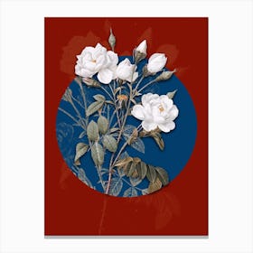 Vintage Botanical Vintage White Rose on Circle Blue on Red n.0040 Canvas Print