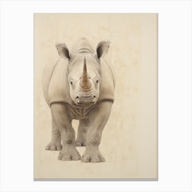 Detailed Vintage Illustration Of A Rhino 5 Canvas Print