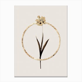 Gold Ring Ixia Maculata Glitter Botanical Illustration n.0014 Canvas Print