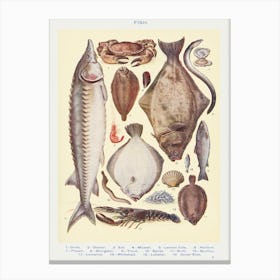 Fish II Crab, Oyster Canvas Print