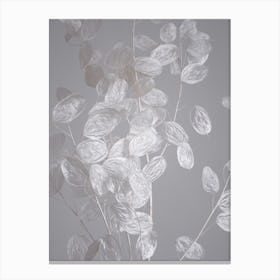 Honesty A Branch Of Dried Flowers Canvas Print