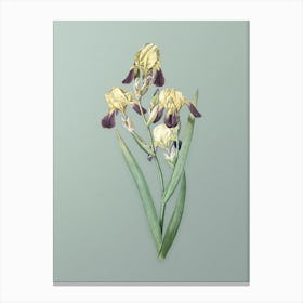 Vintage Elder Scented Iris Botanical Art on Mint Green n.0964 Canvas Print