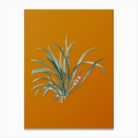 Vintage Sansevieria Carnea Botanical on Sunset Orange n.0520 Canvas Print