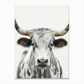 Longhorn Canvas Print Canvas Print