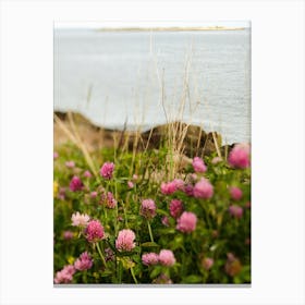 Clover By The Sea Canvas Print