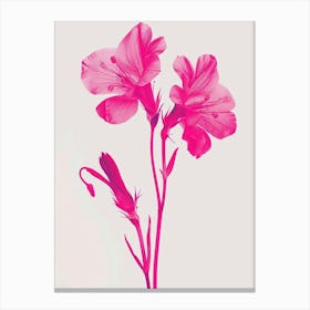 Hot Pink Lobelia 2 Canvas Print