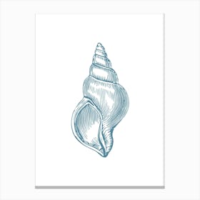 Sea Shell Hand Drawn Illustration Canvas Print