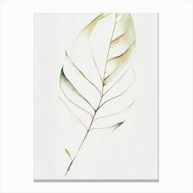 Vanilla Leaf Minimalist Watercolour 2 Canvas Print