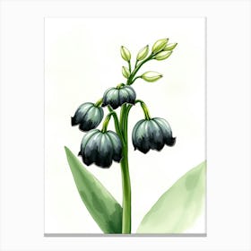 Lily Of The Valley Watercolor Canvas Print