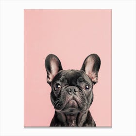 Black French Bulldog On A Pink Background.Generated AI. Art Print Canvas Print