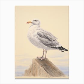 Vintage Bird Drawing Seagull 2 Canvas Print