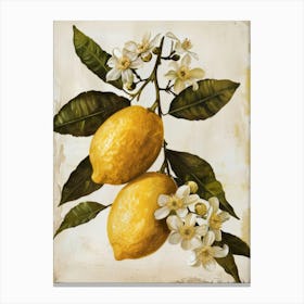 Lemons On A Branch 9 Canvas Print